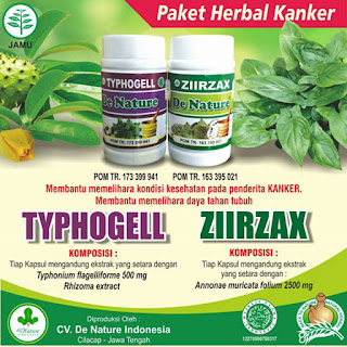 Obat Herbal Untuk Kanker Payudara Yang Sudah Pecah