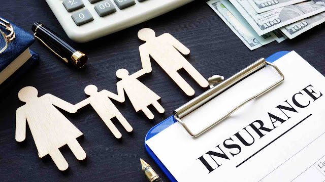 Determinants of insurance companies