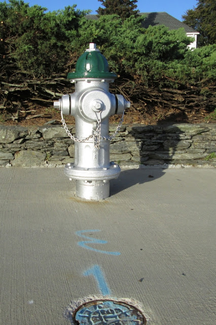 Silver painted hydrant