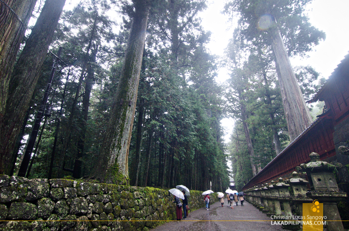 Nikko Temple Run