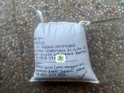 Benih padi yang dibeli  SUHENDI Serang, Banten. (Setelah packing karung ).