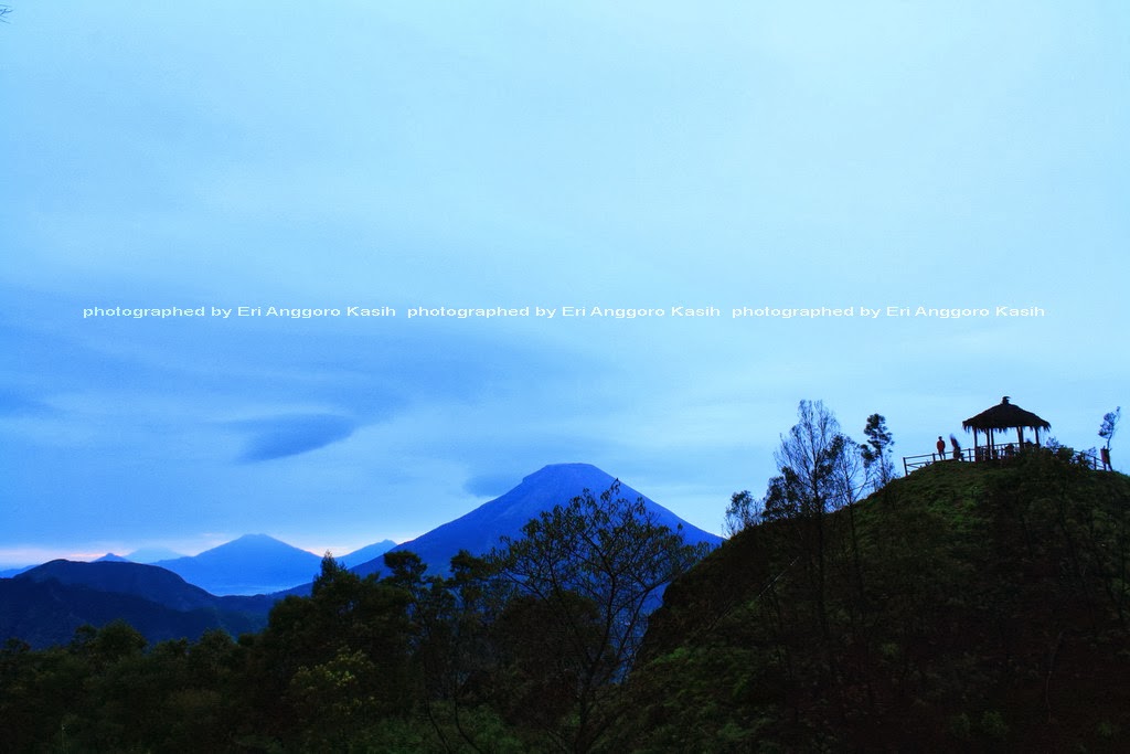 Daftar Penginapan di Dieng Wonosobo Jawa Tengah Ghost Ship