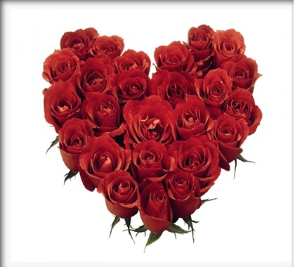 Gambar Bunga Mawar Merah dengan Bentuk Love | Gambar Hidup