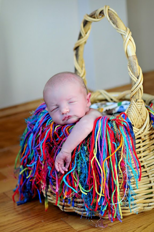 Minneapolis Newborn Photographer