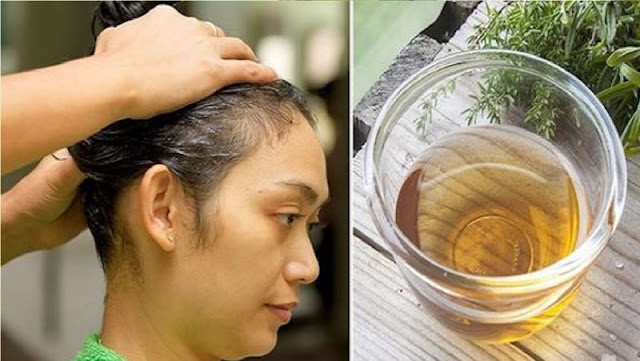 Hair Care: How To Stop Hair Breakage Using Guava Leaves