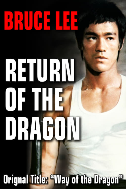 Watch The Way of the Dragon 1972 Full Movie With English Subtitles