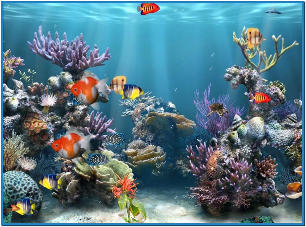 Aquarium Screensaver