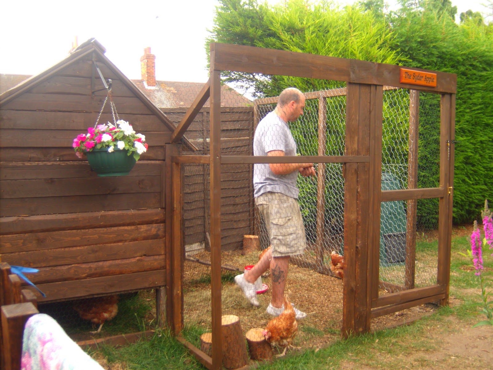 Building Chicken Coops