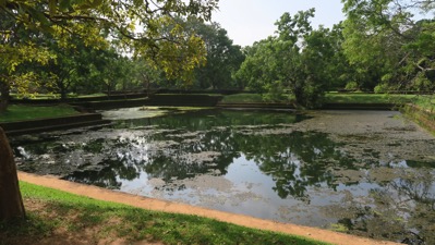 Water Garden