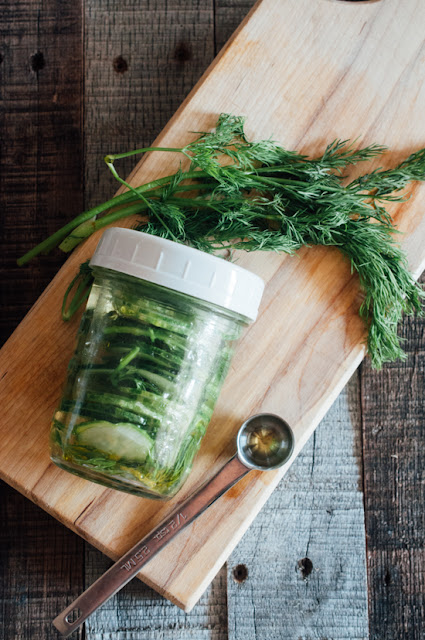 Refrigerator Pickles (AIP, Low FODMAP, Paleo, Whole 30) 