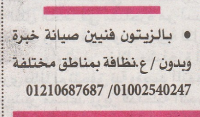 وظائف في الزيتون بمصر
