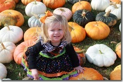 fall 080