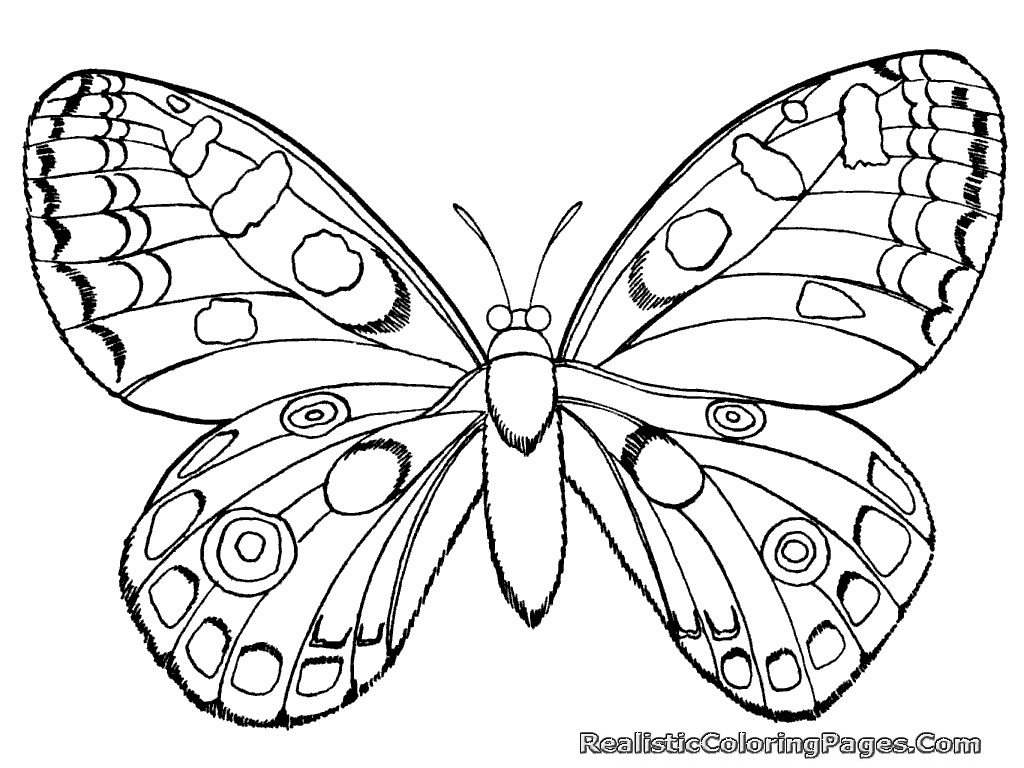 Download Realistic Insect Coloring Pages | Realistic Coloring Pages