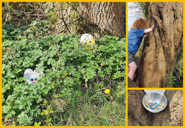 HARIBO Easter Egg Hunt hidden in hedge and 5ft high where 2 trees meet