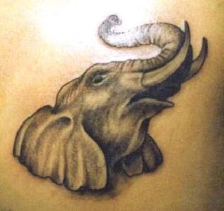 elephant tattoo art design
