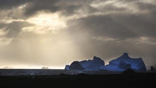 témpanos de hielo en caleta potter base carlini