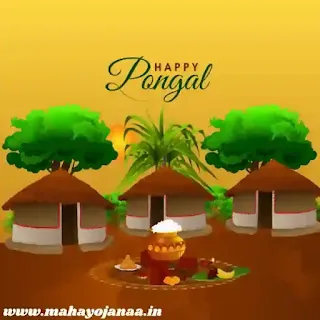 Pongal Festival