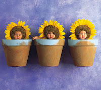 sunflower babies