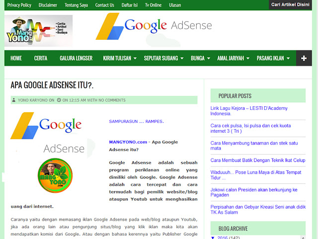 Apa Google Adsense itu?.