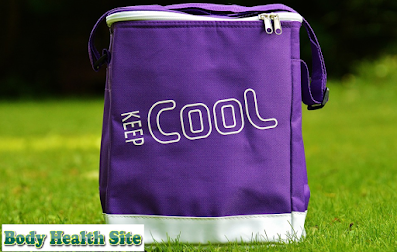 cooler bag for breast milk, best cooler bag for breast milk, cooler bag for breast milk travel, insulated cooler bag for breast milk, small cooler bag for breast milk, cooler bag for breast milk storage, cooler bag for breast milk singapore,