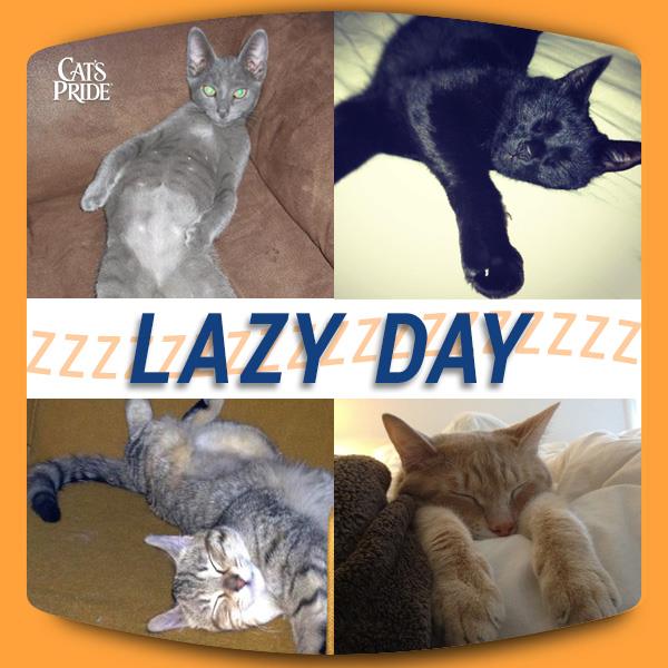 National Lazy Day