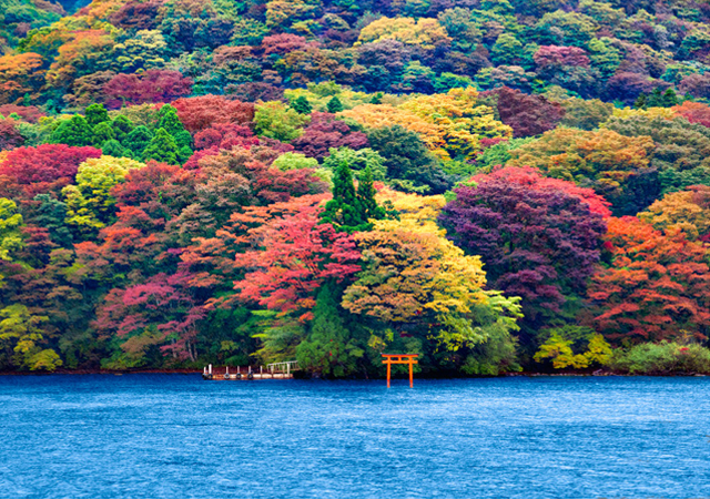 Ashi Lake, Japan, natural photography