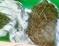 Budak Ganja Diringkus Polres Magetan