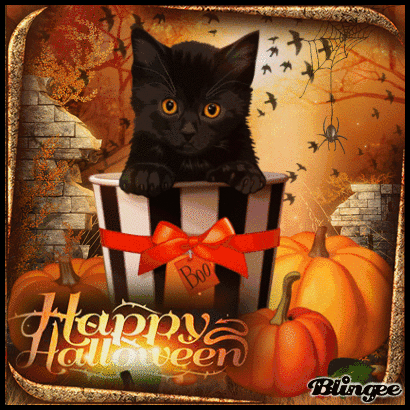 HAPPY HALLOWEEN Cat GIF9