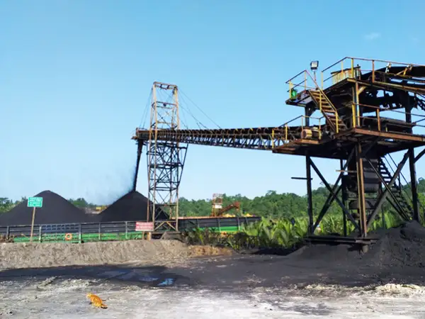 Bulk handling Belt Conveyor