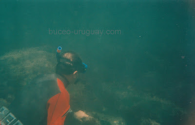 Diving Uruguay