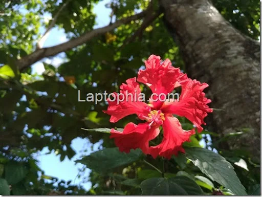 P_20160908_104544_vHDR_Auto
