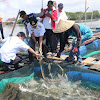 Bupati Maros Serahkan Bantuan Alat Penangkap Ikan dan Jaring Kepiting