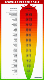 http://www.businessinsider.com/scoville-scale-for-spicy-food-2013-11
