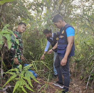 Diduga Hendak Diselundupkan ke Malaysia, Satu Karung Kayu Gaharu Ditemukan di Perbatasan Badau