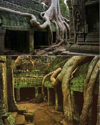 tree art