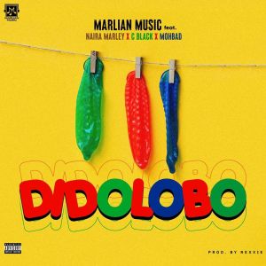 Marlian Music ft. Naira Marley, C Blvck, Mohbad – Dido Lobo Lyrics