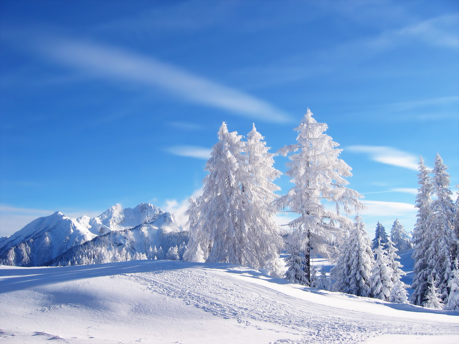 winter landscape wallpaperbelnetwork 1