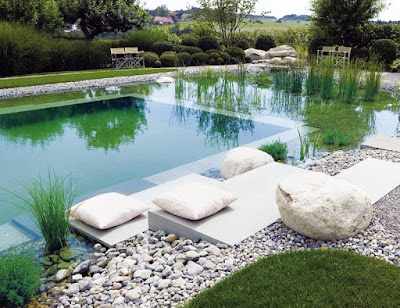 Eco pool idea
