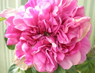 P5050019