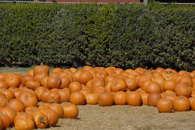 bates nut farm