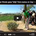 Tiger Woods goes "lefty" from cactus on Day 1 of Accenture Match Play