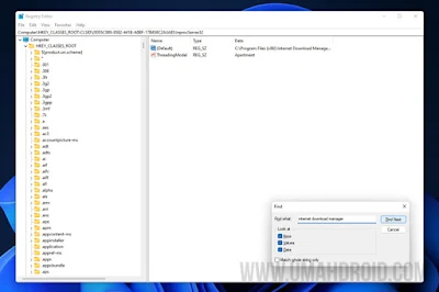 Cari Registry Internet Download Manager