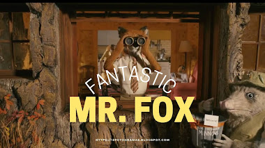 FANTASTIC MR. FOX: La genial farsa de la identidad... | ANIMACIÓN