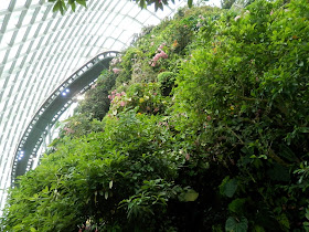 visite de Gardens by the Bay Singapour