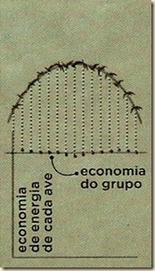 Formação2