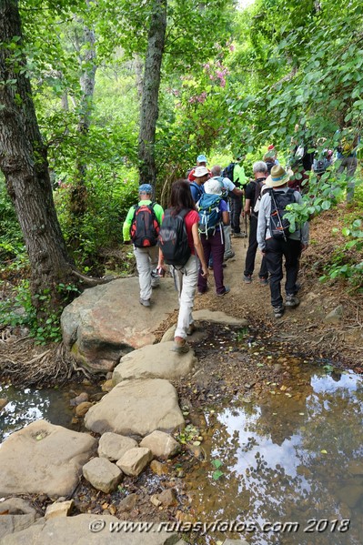 Río de la Miel - Sierra del Bujeo