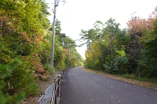 鳥取県西伯郡伯耆町小林　ロイヤルシティ大山　別荘地