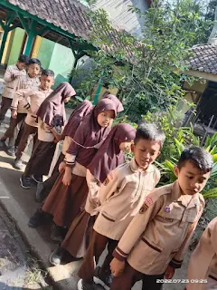 Ketika Anak-anak Berkebun dengan Botol Bekas