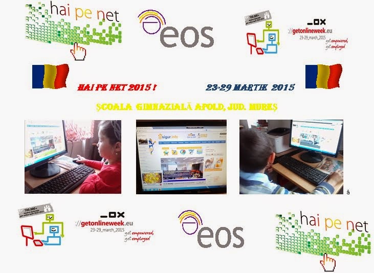 Hai pe net 2015 !-afis