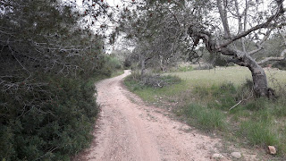 La Pobla de Montornès a Tarragona G-92, camí al Mas de la Casera